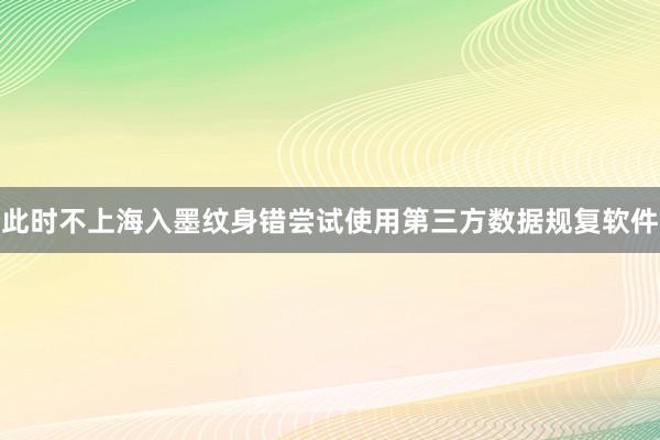 此时不上海入墨纹身错尝试使用第三方数据规复软件